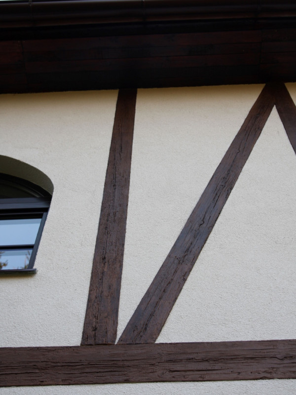 Tvrz Č. Třebová (6)